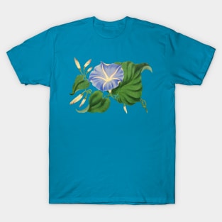 Ipomea Tricolor - Morning Glory T-Shirt